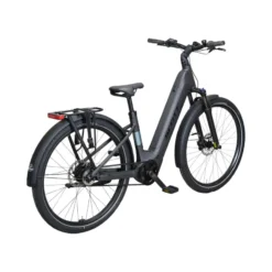 SUB 20 Belt E-Bike Trekkingrad Tiefeinsteiger 29
