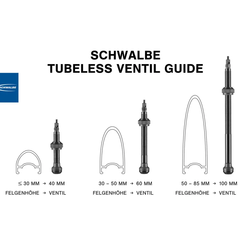 Tubeless-Ventile (Paar)