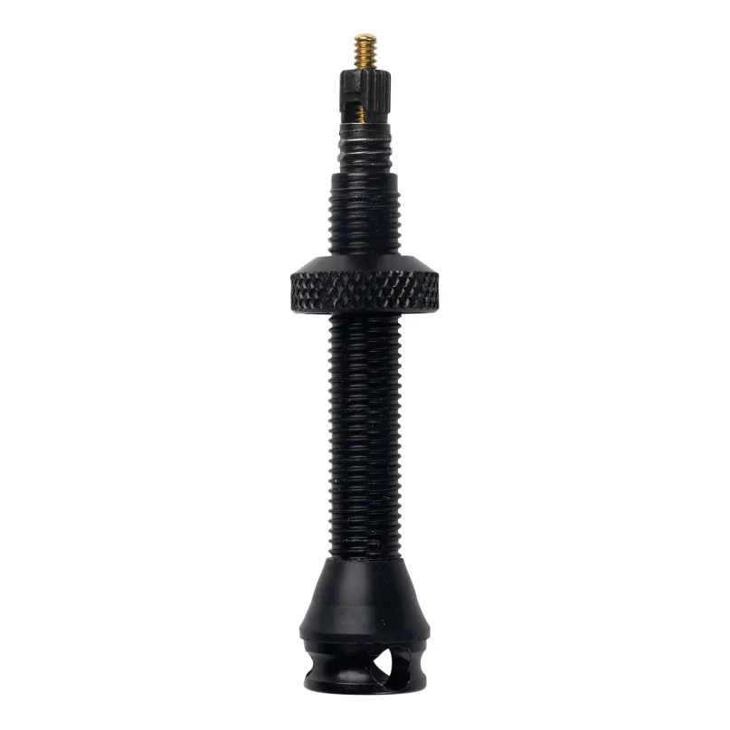Tubeless Ventil (Paar)