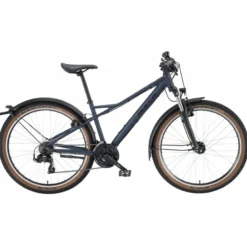 Wildstreet Mountainbike Hardtail blau
