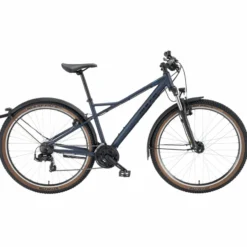 Wildstreet Mountainbike Hardtail blau